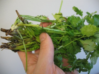 cilantro roots (available at many mainstream groceries these days)